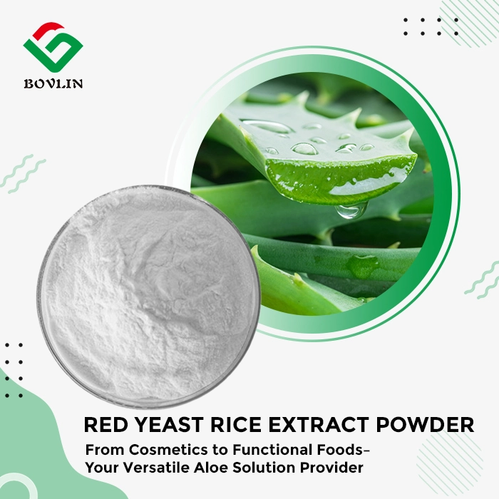 Freeze Dried Aloe Vera Powder